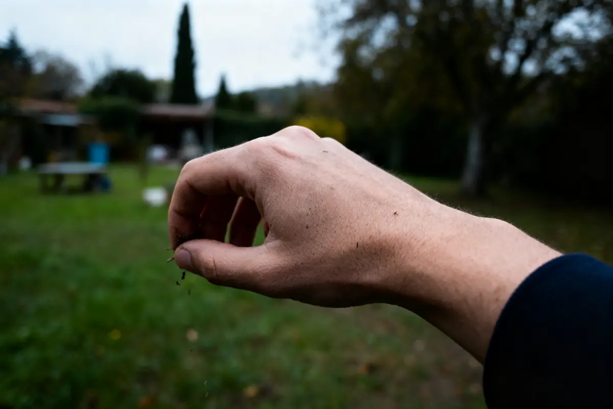 Main tenant de la terre dans un jardin flou avec des arbres en arrière-plan.